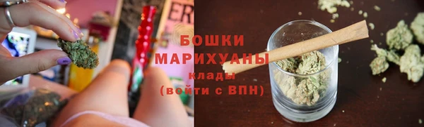 прущая мука Нея